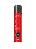 L'Oreal Paris Infallible 3-second Setting Mist